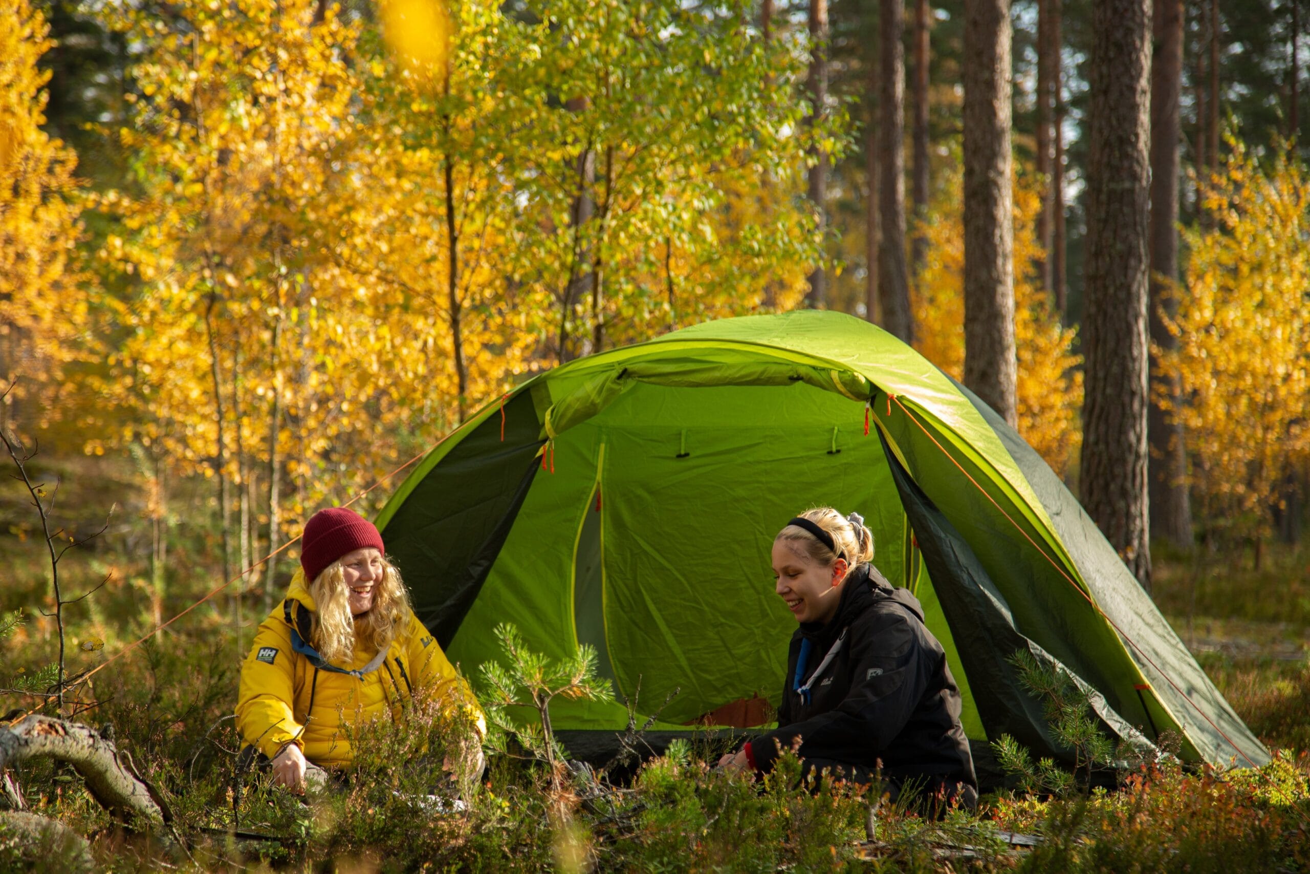 Kaksi nuorta ihmistä ulkovaatteissa istuu vihreän teltan edustalla syksyisessä metsässä.